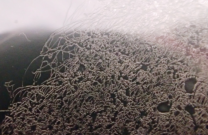 スパイダーメルト